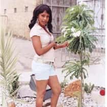 aicha