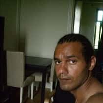 david