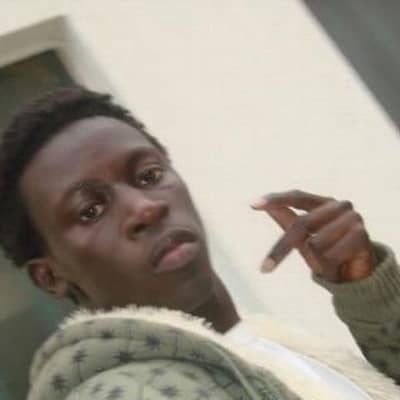 lamin