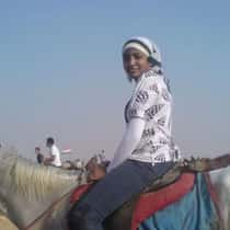 bosy saleh