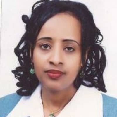 meselu
