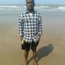david