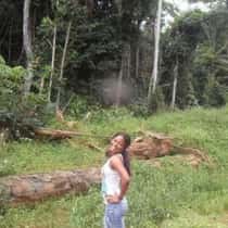 alissonbaby