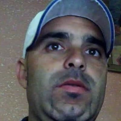kamel
