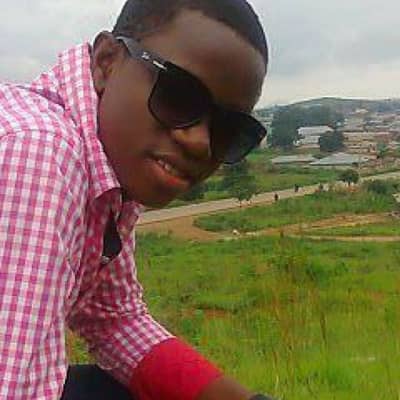 david