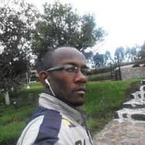 amadeu