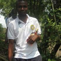 wallabis