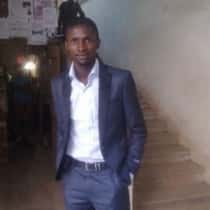 david
