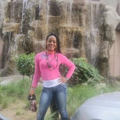 sylva