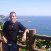 david