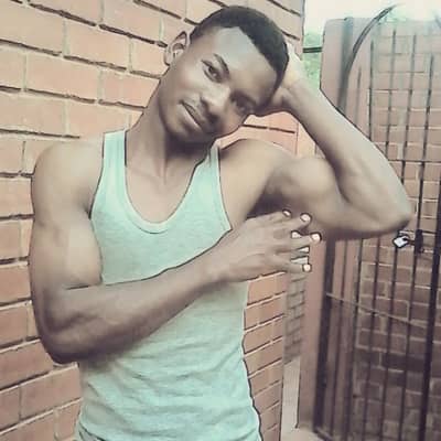 Mayz 