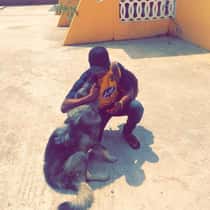 Juniho davids