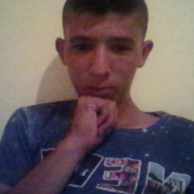kamel