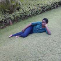 Breva