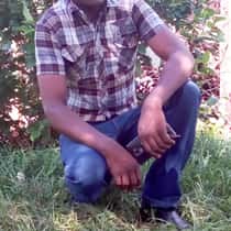 Peterson kiraithe