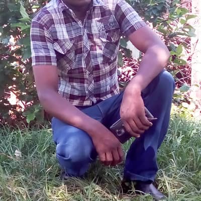 Peterson kiraithe