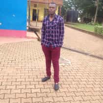Allanex