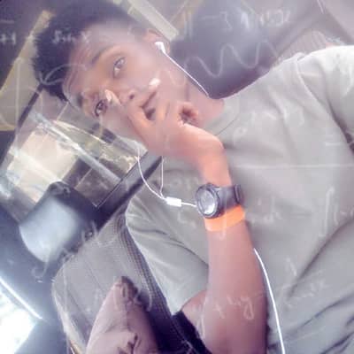 Festus
