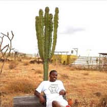 Paul njau