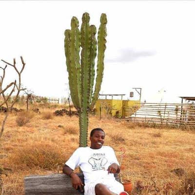 Paul njau