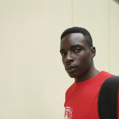 Newton