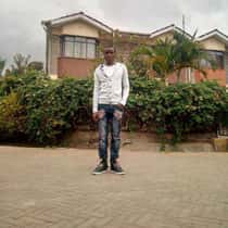 david