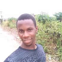 david