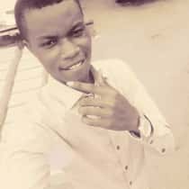Sheddy