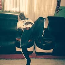 Prince