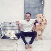 Tman_pooches