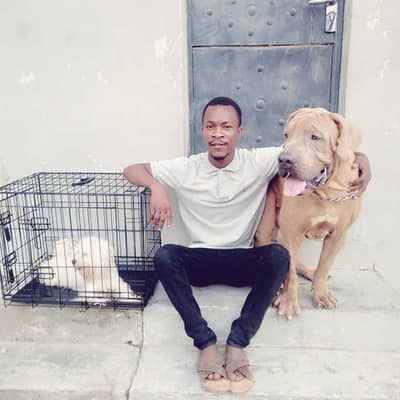 Tman_pooches