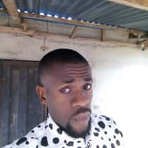 Donkelver