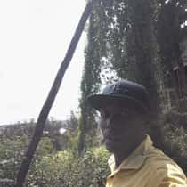 Izo
