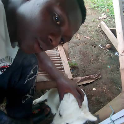 JOSHUADEX