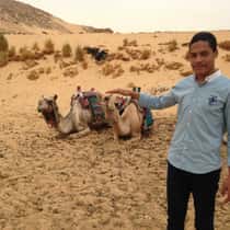 Egyptian_King