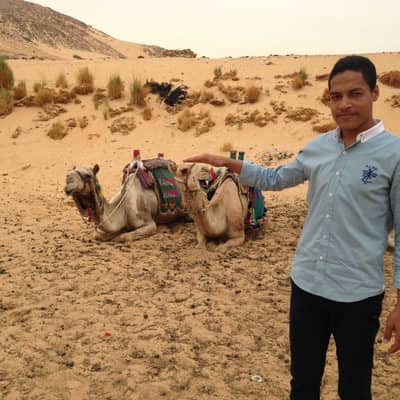 Egyptian_King