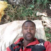 Kelvin mwiti