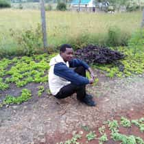 Alexisky