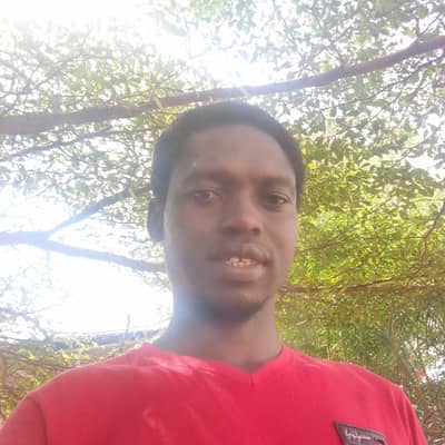 Alexicographer