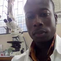 Mens