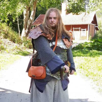 Lionviking