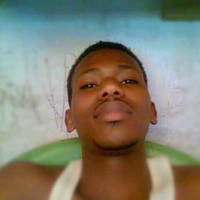 Shaks