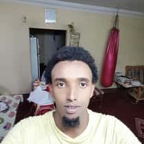 Gulleid