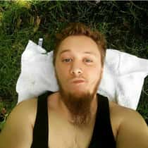 Arschwiesel