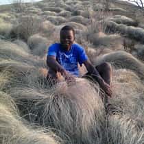 Joel