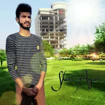 Shani Ansari
