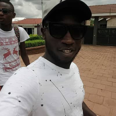 Elvisopoku