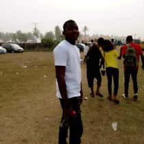 Haywise