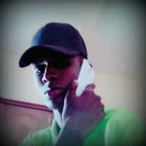 Dimaria gakou