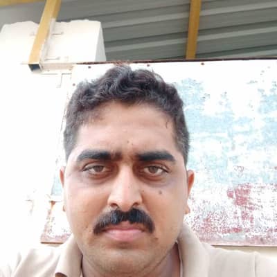 Amar